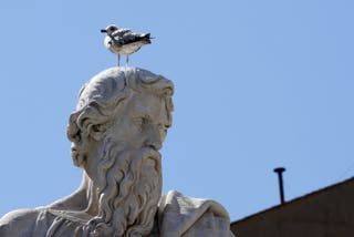 Seagull stands on one of the statues in St. Petrov Square, in front of Sistina Chapel Dimney